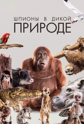 Шпионы в дикой природе (2017) онлайн бесплатно